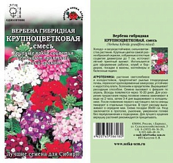 Вербена Крупноцветковая смесь (Золотая Сотка)