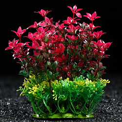 Растение аквариумное 15см красно-зеленое 6886553