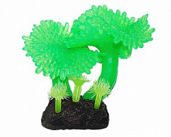 Коралл Актиния ковровая зеленая 8см, силикон Уют ВК733