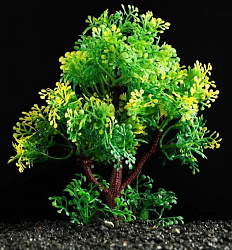 Растение аквариумное 15 см зелёное   6886556/7524021