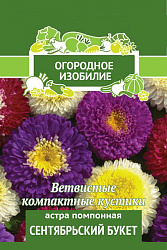 Астра Помпонная Сентябрьский букет 0,3 гр (Поиск)