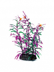 Растение аквариумное Людвигия красно-зеленая 10см, Laguna