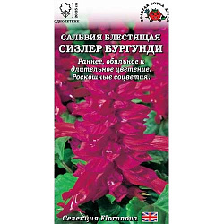 Сальвия Сизлер Бургунди (Золотая Сотка)