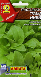 Хрустальная травка Иней (Аэлита) цп