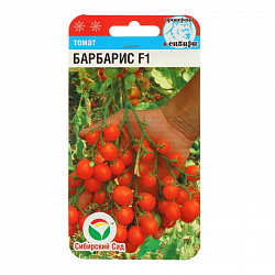 Томат Барбарис F1 (Сибирский Сад) 