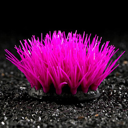 Растение аквариумное силиконовое светящееся в темноте, 6,5 х 6,5 см, фиолетовое 7108791