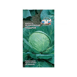 Капуста белокочанная Подарок (Седек) среднепоздний