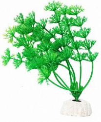 Растение аквариумное Амбулия зеленая 10см Уют ВК103