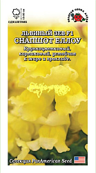 Львиный зев Снапшот Еллоу  (Золотая Сотка)