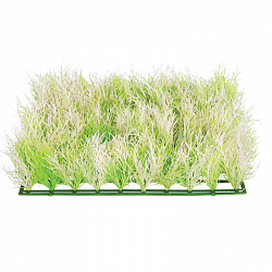 Растение Коврик бело-зеленый 250*250*70мм Лагуна