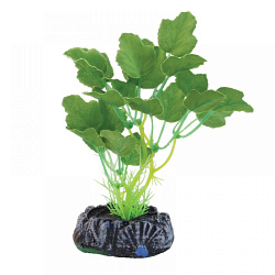 Растение аквариумное Гидрокотила шелковая 7см Laguna