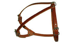 Шлейка спаниель (Наша ручная работа)