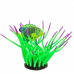 Грот Gloxy Рыба хирург зеленая 11,8*12см 8162