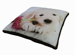 Лежак ZooМoDa "Дарел" Вид 3 для животных