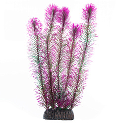 Растение аквариумное Перистолистник фиолетовый 300мм, Laguna