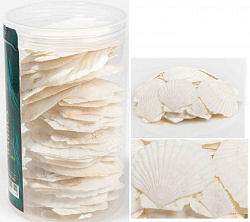 Грунт ракушки в банке 300-400гр 4-7см 014