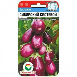 Баклажан Сибирский кистевой (Сибирский Сад)