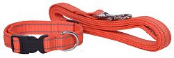 Шлейка +поводок капрон 20 светоотражающая (Наша ручная работа)