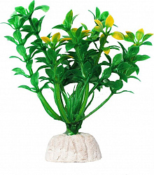 Растение аквариумное Гемиантус зелено-желтый 10см Уют