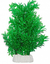 Растение аквариумное Гигрофила, 24-32см УЮТ ВК514