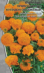 Бархатцы Купидон оранжевый (Ваше хозяйство)