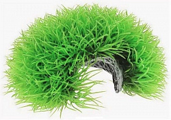 Растение аквариумное Камкрым Мохнатая норка 15см 063