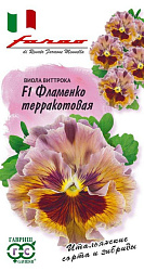 Виола Фламенко терракотовая виттрока (Гавриш)