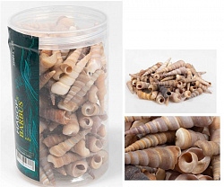 Грунт ракушки в банке 300-400гр 016