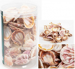 Грунт ракушки в банке 300-400гр 4-7см 012