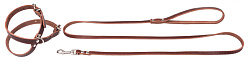 Комплект восьмерка шлейка 1,2*36-45см + поводок 0,8*130см (Наша ручная работа)