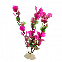 Растение аквариумное 20см Пижон 