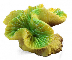 Коралл искусственный 2902LD Каталофиллия зеленая, 7*6,5*4см, Laguna