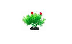 Растение аквариумное Маяка зеленая с красными цветами, 11 см УЮТ ВК206