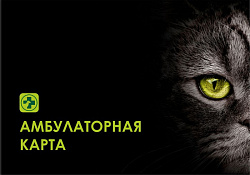 Амбулаторная карта для кошек Zоомирово
