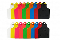 Бирка идентификационная для КРС (двойная) большая голубая 60*85