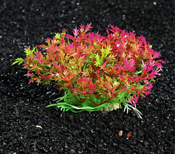 Растение аквариумное 7*10см 6909488