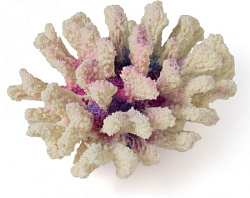 Грот К Коралл брокколи фиолетовый (светится в темноте) 1520 14*13*7 см