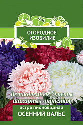 Астра Осенний вальс пионовидная 0,3 гр сер Огородное изобилие (Поиск)