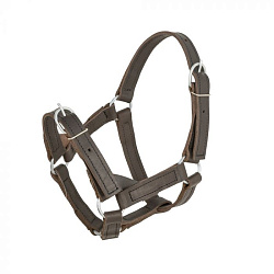 REITER Недоуздок для жеребят кожанный регулируемый 25мм