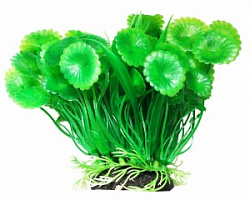 Растение аквариумное Щитолистник с осотом 12см Уют