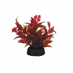 Растение аквариумное Альтернантера красная, 8см, Laguna