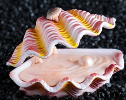 Распылитель Раковина с жемчужиной с поднимающейся крышкой 2410864