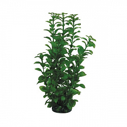 Растение аквариумное Людвигия зеленая 30см, Laguna