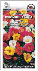 Портулак Изюминка сада (Золотая Сотка)