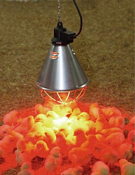 Светильник для ИКЗ ламп подвесной 22291