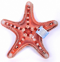 Грот К Звезда 07