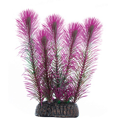 Растение аквариумное Перистолистник фиолетовый 100мм, Laguna