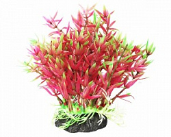 Растение аквариумное Гемиантус фиолетово-зеленый 12см Уют