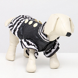 Курточка для собак с воланами, размер 4 (ДС 33,ОШ 35, ОГ 45 см), чёрная   7018368