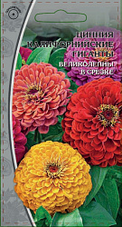 Цинния Калифорнийские гиганты (Ваше хозяйство) цп